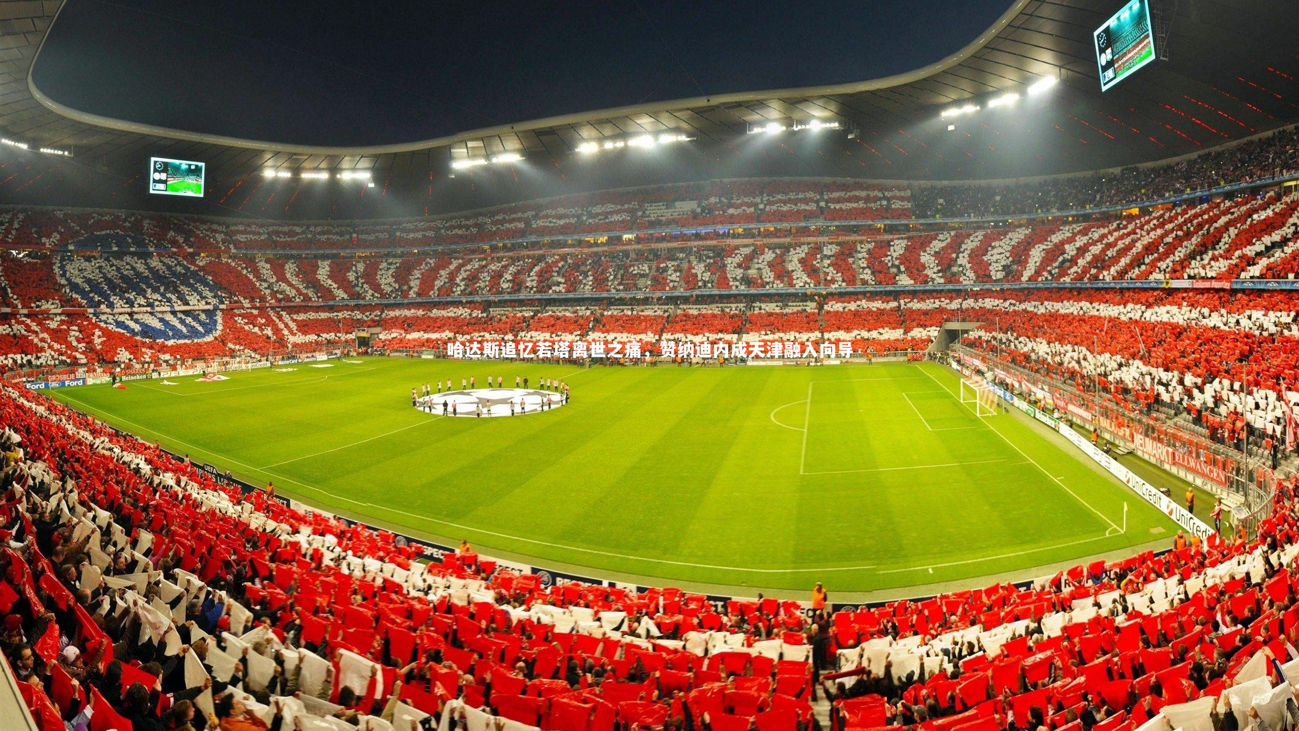 哈达斯追忆若塔离世之痛，赞纳迪内成天津融入向导